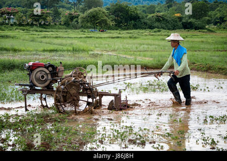 Nakhon Nayok, Thailand. 27. Mai 2017. Beginnen Sie mit dem Beginn der Regenzeit Bauern, die Reisfelder im ländlichen Thailand zu pflügen.  Ein Thai Bauer pflügt die Felder mit einem Hand-Traktor in Nakhon Nayok, Thailand. Bildnachweis: Lee Craker/Alamy Live-Nachrichten Stockfoto