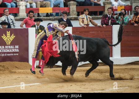 Caceres, Spanien. 27. Mai 2017. Spanischer Stierkämpfer Julián López "El Juli" tötet seinen ersten Stier des Abends während der Messe San Fernando in der Stierkampfarena in Cáceres, Spanien Kredit: Esteban Martinena Guerrero/Alamy Live News Stockfoto