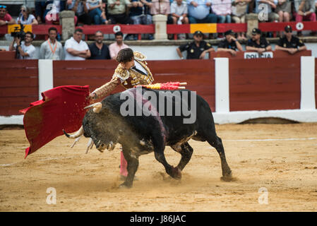 Caceres, Spanien. 27. Mai 2017. Peruanische Stierkämpfer Roca Rey kämpft seinen ersten Stier bei einem Stierkampf im Rahmen der Messe San Fernando in der Stierkampfarena in Cáceres, Spanien Kredit: Esteban Martinena Guerrero/Alamy Live News Stockfoto