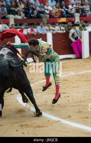 Caceres, Spanien. 27. Mai 2017. Spanischer Stierkämpfer Antonio Ferrera tötet seinen zweiten Stier des Abends während der Messe San Fernando in der Stierkampfarena in Cáceres, Spanien Kredit: Esteban Martinena Guerrero/Alamy Live News Stockfoto