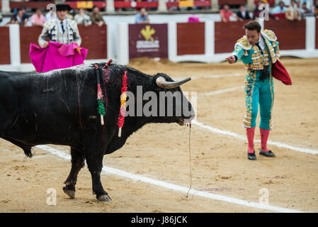 Caceres, Spanien. 27. Mai 2017. Spanischer Stierkämpfer Antonio Ferrera tötet seinen zweiten Stier des Abends während der Messe San Fernando in der Stierkampfarena in Cáceres, Spanien Kredit: Esteban Martinena Guerrero/Alamy Live News Stockfoto