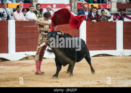 Caceres, Spanien. 27. Mai 2017. Peruanische Stierkämpfer Roca Rey kämpft seinen zweiten Stier bei einem Stierkampf im Rahmen der Messe San Fernando in der Stierkampfarena in Cáceres, Spanien Kredit: Esteban Martinena Guerrero/Alamy Live News Stockfoto