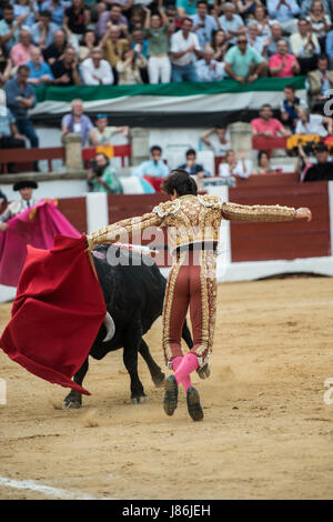 Caceres, Spanien. 27. Mai 2017. Peruanische Stierkämpfer Roca Rey tötet seinen zweiten Stier des Abends während der Messe San Fernando in der Stierkampfarena in Cáceres, Spanien Kredit: Esteban Martinena Guerrero/Alamy Live News Stockfoto