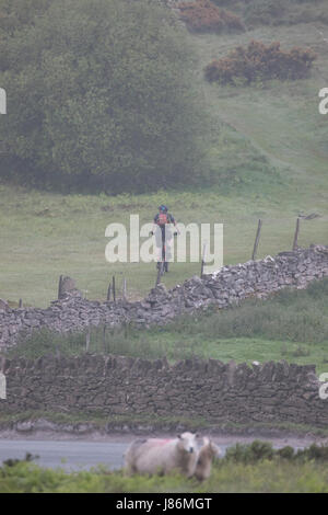 Flintshire, Wales, UK. 28. Mai 2017. Großbritannien Wetter, kühl und neblig Start in den Tag und die Woche mit Duschen erwartet wieder späteren heute. Ein nebliger grauer Morgen für diese Mountainbiker in Flintshire nahe Dorf von Rhesus-y-Cae, Flintshire, Wales Credit: DGDImages/Alamy Live News Stockfoto