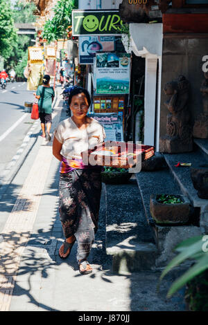 UBUD, Indonesien - 25 Februar: Balinesische Frau in traditioneller Kleidung, die Opfergaben an die Götter, Ubud, Indonesien am 25. Februar 2016 Stockfoto