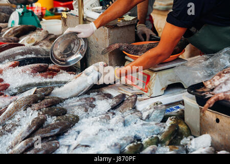 GEORGE TOWN, MALAYSIA - März 23: Mann bereiten Fisch zum Verkauf an den nassen Markt von Penang am 23. März 2016 in George Town, Malaysia. Stockfoto