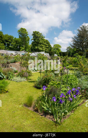 Duftende Terrasse in Thornbridge Hall Gardens in der Nähe von großen Longstone, Derbyshire, England. Stockfoto