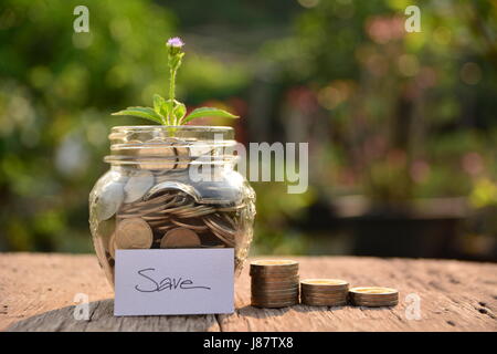 Pflanze, die keine Münzen für Finanzkonzept und Geld sparen. Stockfoto