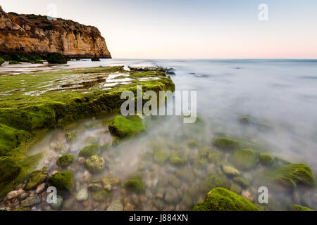 Grünen Steinen am Strand von Porto de Mos in Lagos, Algarve, Portugal Stockfoto