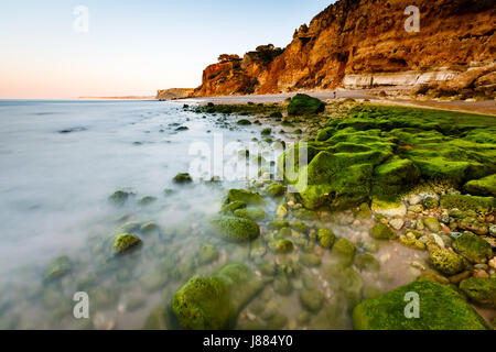 Grünen Steinen am Strand von Porto de Mos in Lagos, Algarve, Portugal Stockfoto