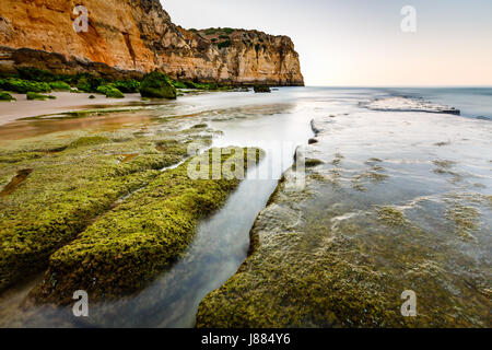 Grünen Steinen am Strand von Porto de Mos in Lagos, Algarve, Portugal Stockfoto