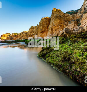 Grünen Steinen am Strand von Porto de Mos in Lagos, Algarve, Portugal Stockfoto