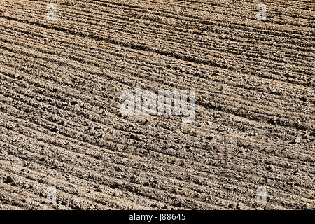 Ein frisch gepflügtes Feld bereit für die Bepflanzung Stockfoto