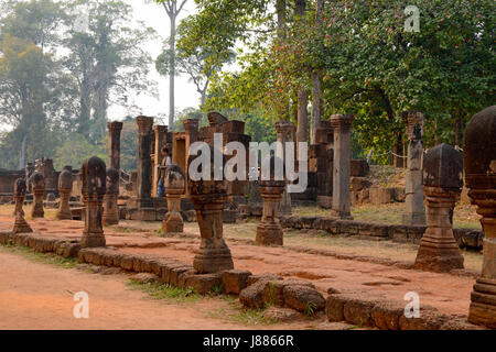 Banteay Srey Tempel, Siem Reap Provinz, Kambodscha Stockfoto