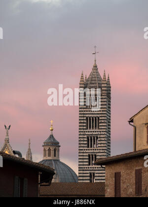 Rosa Himmel um Siena Duomo Turm Stockfoto