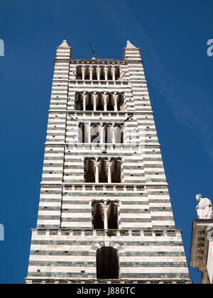 Glockenturm von Siena Duomo Stockfoto