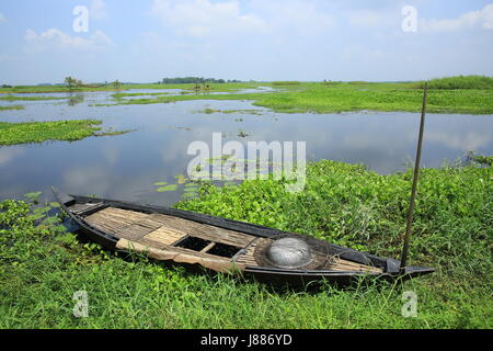 Blick auf die Arial Beel, eine große Wasserfläche von 136 Quadratkilometern südlich von Dhaka zwischen Padma und Dhaleshwari River. Sreenagar, Munshi Stockfoto