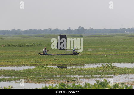 Blick auf die Arial Beel, eine große Wasserfläche von 136 Quadratkilometern südlich von Dhaka zwischen Padma und Dhaleshwari River. Sreenagar, Munshi Stockfoto