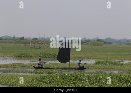 Blick auf die Arial Beel, eine große Wasserfläche von 136 Quadratkilometern südlich von Dhaka zwischen Padma und Dhaleshwari River. Sreenagar, Munshi Stockfoto