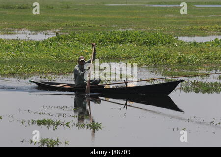 Blick auf die Arial Beel, eine große Wasserfläche von 136 Quadratkilometern südlich von Dhaka zwischen Padma und Dhaleshwari River. Sreenagar, Munshi Stockfoto