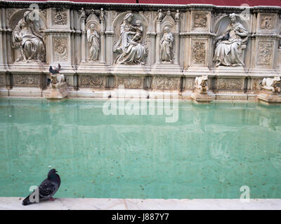 Fonte Gaia, Piazza del Campo, Siena Stockfoto