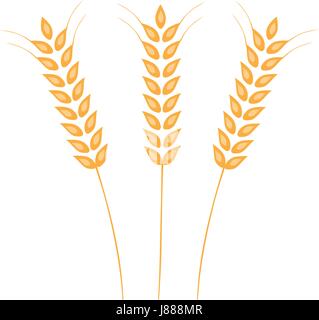 Vektor-Illustration der Ohren von Weizen, Gerste oder Roggen. Ideal für die Verpackung von Brot. Vektor Icon. Stock Vektor