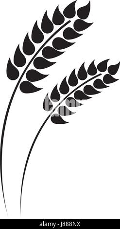 Vektor-Illustration der Ohren von Weizen, Gerste oder Roggen. Ideal für die Verpackung von Brot. Vektor Icon. Stock Vektor