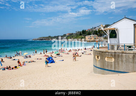 Leute, Sonnenbaden am Coogee Beach in östlichen Vororten Sydneys, Australien Stockfoto