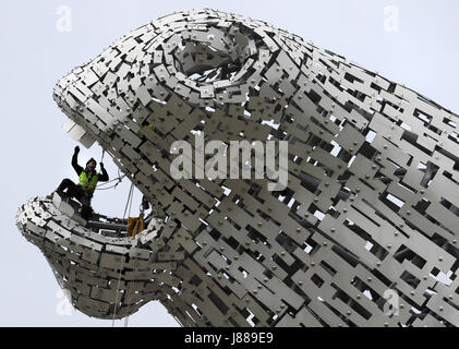 Embargo auf 0001 Montag Mai 29 Rope Access Techniker John Benson führt die erste Gesundheit auf Kelpies in Falkirk überprüfen, sobald er sich ihren dritten Geburtstag. Stockfoto