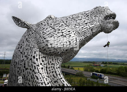 Embargo auf 0001 Montag Mai 29 Rope Access Techniker John Benson führt die erste Gesundheit auf Kelpies in Falkirk überprüfen, sobald er sich ihren dritten Geburtstag. Stockfoto