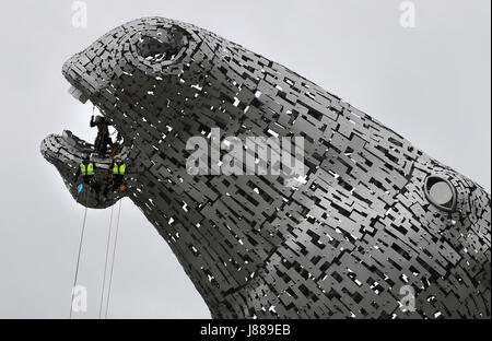 Embargo auf 0001 Montag Mai 29 Rope Access Techniker John Benson führt die erste Gesundheit auf Kelpies in Falkirk überprüfen, sobald er sich ihren dritten Geburtstag. Stockfoto