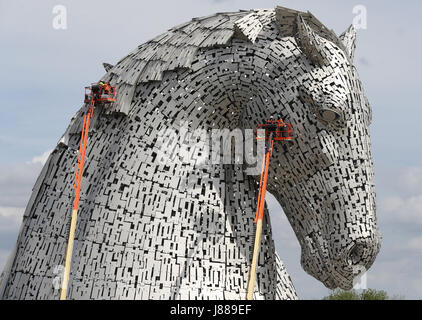 Embargo auf 0001 Montag Mai 29 den ersten Gesundheitscheck auf die Kelpies in Falkirk, erfolgt, sobald er sich ihren dritten Geburtstag. Stockfoto