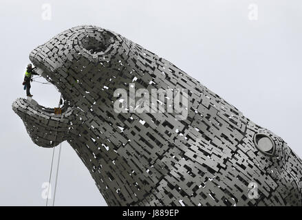 Embargo auf 0001 Montag Mai 29 Rope Access Techniker John Benson führt die erste Gesundheit auf Kelpies in Falkirk überprüfen, sobald er sich ihren dritten Geburtstag. Stockfoto