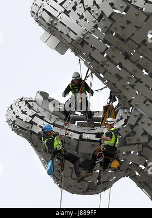 Embargo auf 0001 Montag Mai 29 Rope Access Techniker Andrew Pennycuick (links), Paul Smith (rechts) und John Benson (oben) führt die erste Gesundheit überprüfen auf die Kelpies in Falkirk nähern sie ihren dritten Geburtstag. Stockfoto