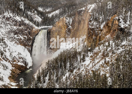 Eine späten Frühlingsschnee Stäube die Hügel rund um die unteren Wasserfälle des Yellowstone River, wie es in die Schlucht unterhalb im Yellowstone National Park 28. April 2017 in Yellowstone in Wyoming stürzt. Der Lower Yellowstone Falls ist der größte Wasserfall der Lautstärke in den Rocky Mountains der USA. Stockfoto