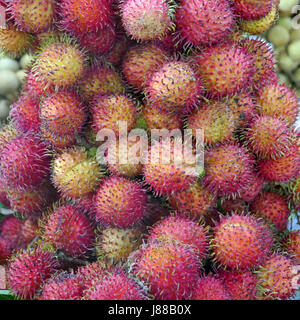 Rambutan, ähnlich Litschis, auf dem Markt in Luang Prabang Stockfoto