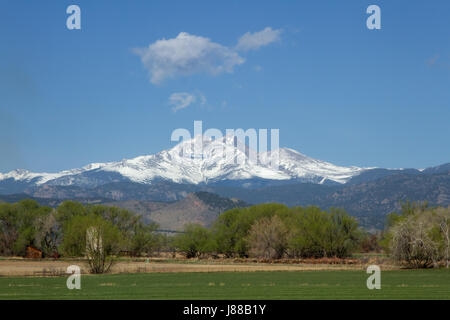 Schöne Aussicht auf den Schnee begrenzt Longs Peak und Mt Meeker mit Frühlingsgrün Feld und Bäume im Vordergrund Stockfoto