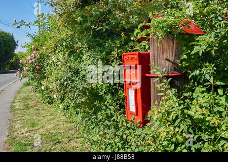 Frisch gestrichener Postkasten von Royal Mail auf dem Land in Iden in East Sussex, England Stockfoto