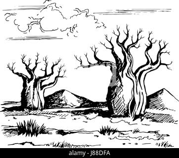 Australien Landschaft mit Baobab-Bäume Stock Vektor
