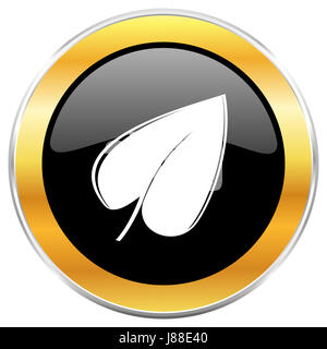 Blatt-schwarzen Web-Symbol mit goldenen Rahmen isoliert auf weißem Hintergrund. Runde glänzende Knopf. Stockfoto