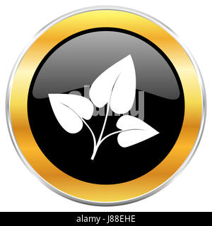 Blatt-schwarzen Web-Symbol mit goldenen Rahmen isoliert auf weißem Hintergrund. Runde glänzende Knopf. Stockfoto