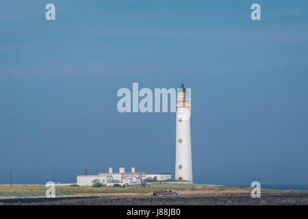 Scheunen Nest Leuchtturm, John Muir Weise Küstenweg, East Lothian, Schottland, Großbritannien, am Tag Sommer mit blauer Himmel Stockfoto