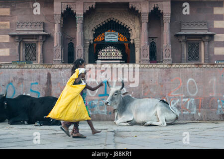 Zwei Kinder tragen Säcke wiederverwertbare Objekte, die sie, von den Straßen in Jodhpur, Rajasthan, Indien gesammelt haben Stockfoto