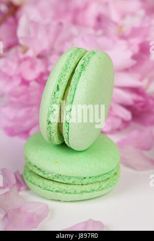 Traditionelle französische Macarons mit Zweigen von sakura Stockfoto