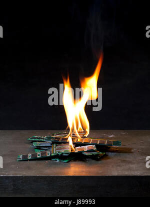 brennende Ram im schwarzen Hintergrund Stockfoto