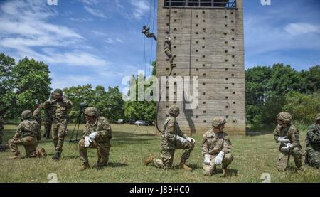 Griechischen Fallschirmjäger mit 1. Fallschirmjäger Commando Brigade, griechische Armee Verhalten Abseilen und schnell Seil Training für Sky Soldaten aus B Company, 1. Bataillon, 503. Infanterieregiment 173rd Airborne Brigade, 19. Mai 2017 in Camp Rentina, Griechenland als Teil der Übung Bajonett Minotaurus 2017. Bajonett-Minotaurus ist eine bilaterale Übung zwischen US-Soldaten, 173rd Airborne Brigade zugewiesen und der griechischen Streitkräfte, konzentrierte sich auf die Verbesserung der operativen NATO-Standards und individuelle technische Fähigkeiten zu entwickeln. Stockfoto