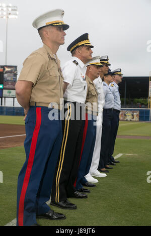 Service-Mitglieder der Region Hampton Roads besuchen die Norfolk Gezeiten 22. jährlichen Armed Forces Appreciation Night am Harbor Park, Norfolk, Virginia am 20 Mai für ihren engagierten Dienst in der Verteidigung der Nation erkannt werden. Hochrangige Vertreter aus gemeinsamen Service Hampton Roads, Marine Corps, Heer, Luftwaffe und Küstenwache wurden während der Pre-game Veranstaltungen zusammen mit ihren eingetragenen Servicemitarbeiter Mitglied anerkannt, die Eröffnung Stellplätze des Spiels (U.S. Marine Corps Foto von Sgt. Kayla D. Rivera/freigegeben warf). Stockfoto