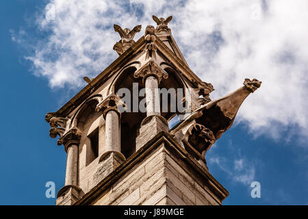 Notre Dame de Paris Kathedrale Details, Paris, Frankreich Stockfoto