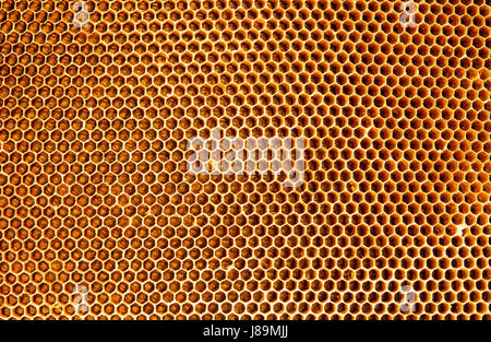 Hintergrund Textur und Muster Waben aus einem Bienenstock voller golden Stockfoto