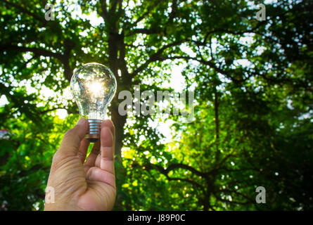 Hand der Person, die Glühbirne für Idee für Erfolg oder Solarenergie Stockfoto